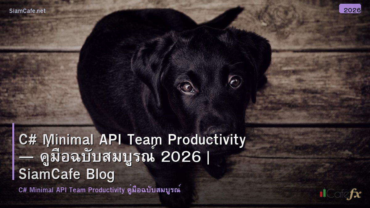 c minimal api team productivity