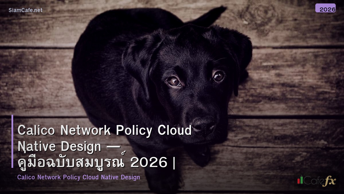 calico network policy cloud native design