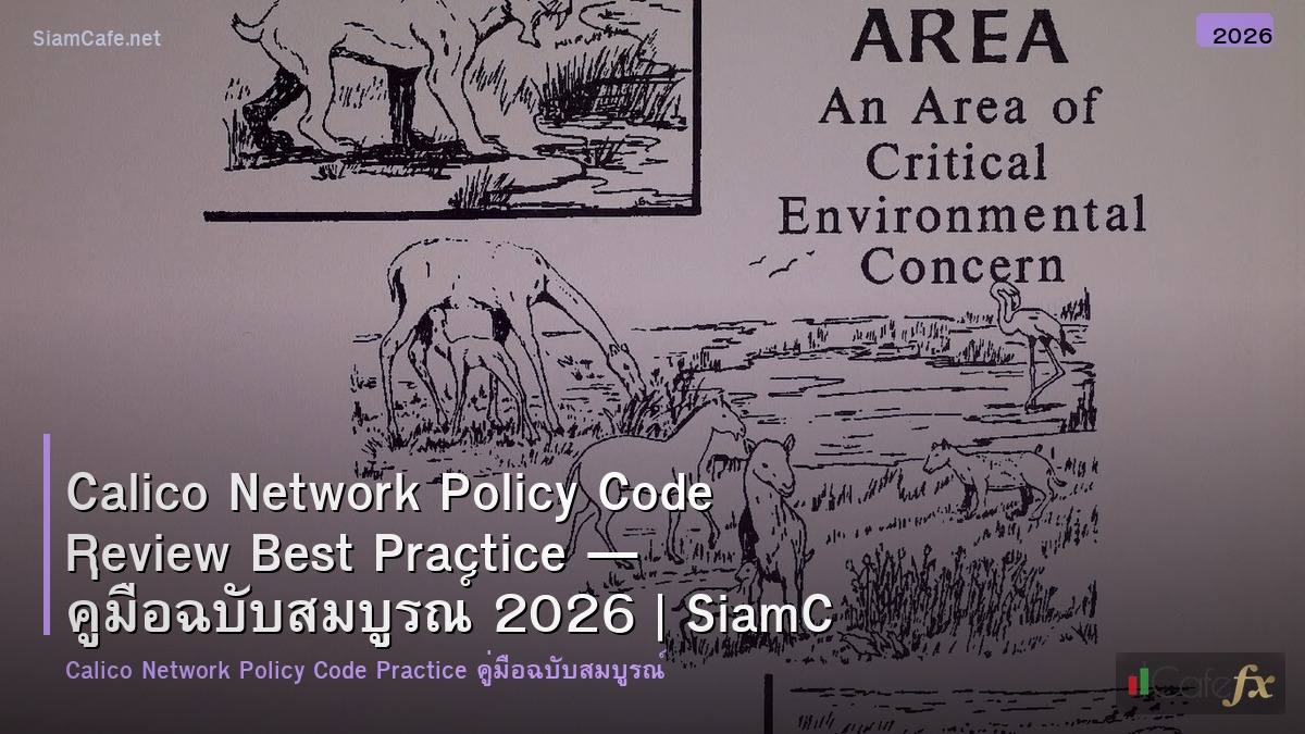 calico network policy code review best practice