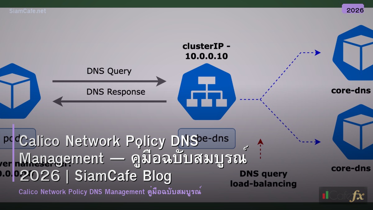 calico network policy dns management