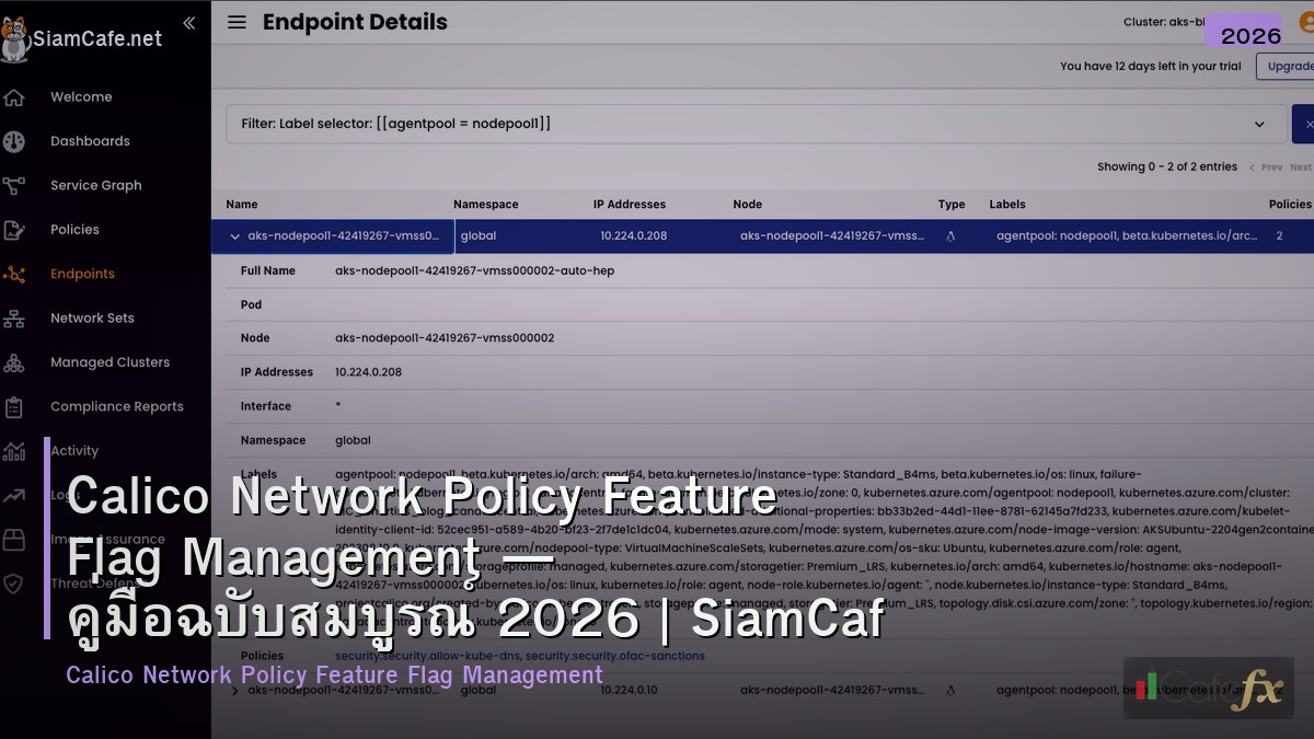 calico network policy feature flag management