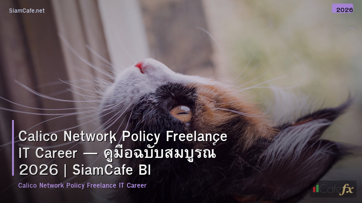 calico network policy freelance it career