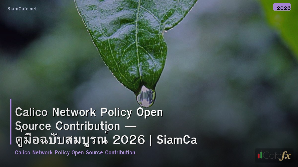 calico network policy open source contribution