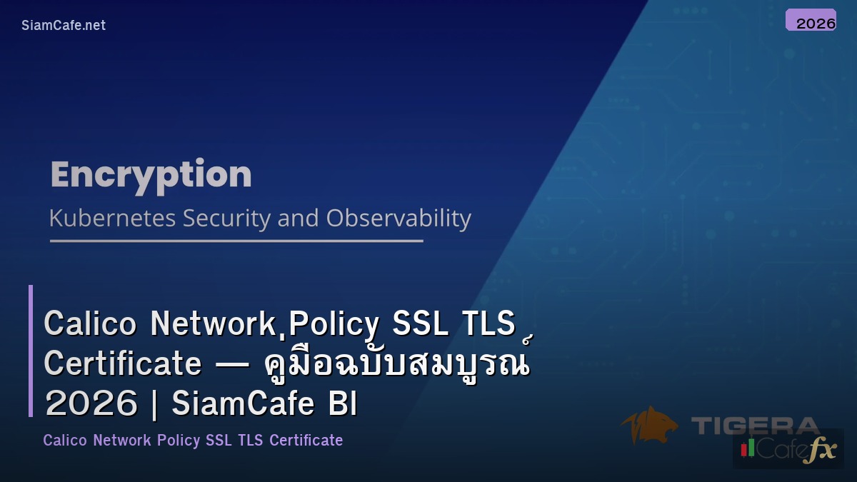 calico network policy ssl tls certificate