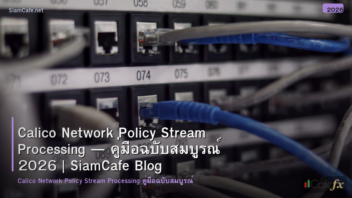 calico network policy stream processing