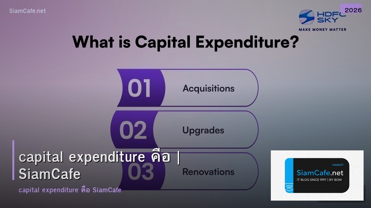 capital expenditure