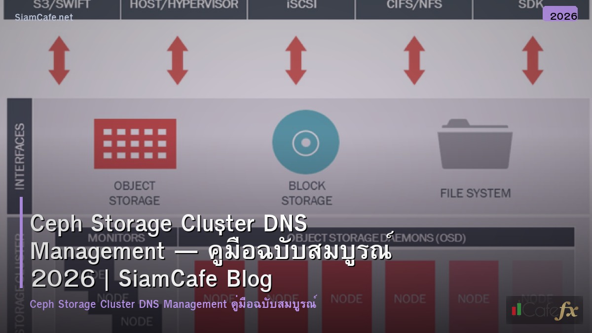 ceph storage cluster dns management