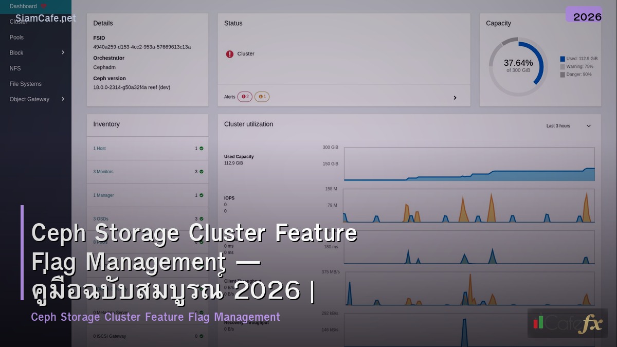 ceph storage cluster feature flag management