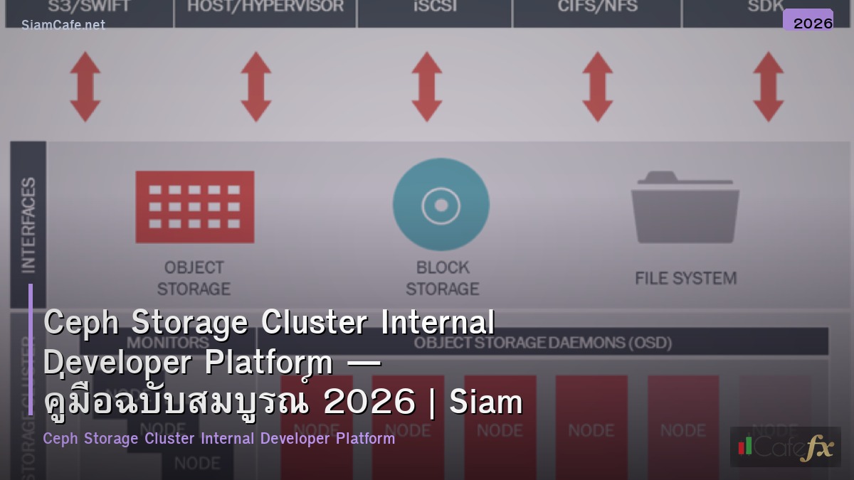 ceph storage cluster internal developer platform