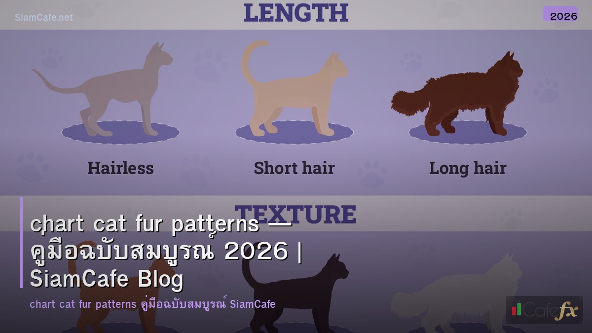 chart cat fur patterns