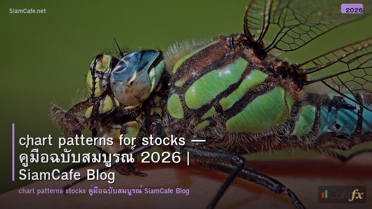 chart patterns for stocks