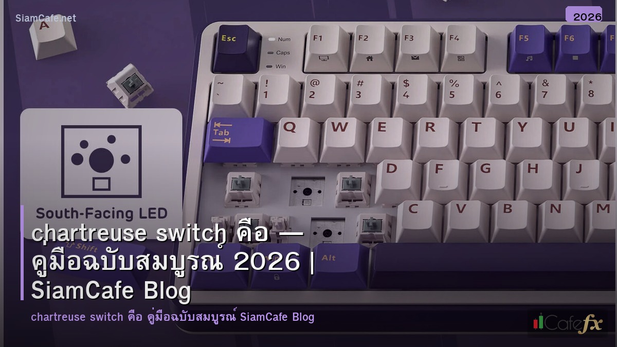 chartreuse switch คอ