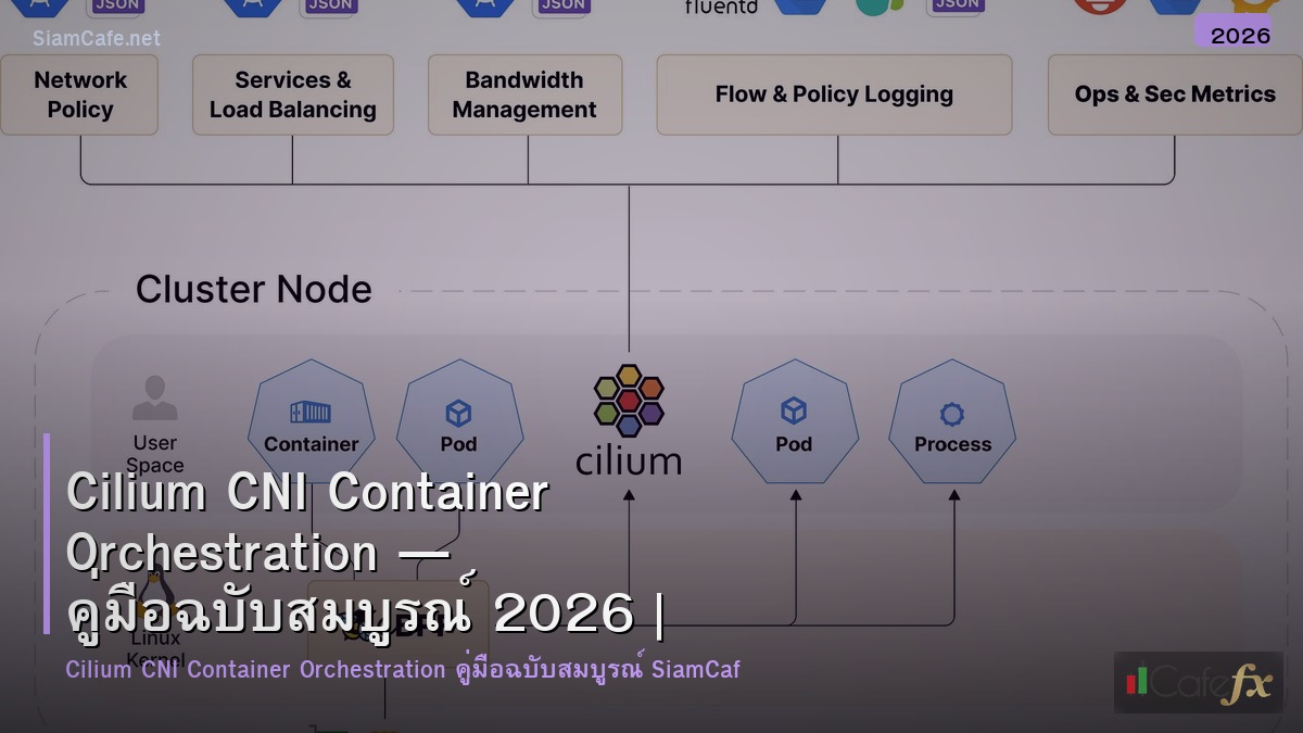 cilium cni container orchestration