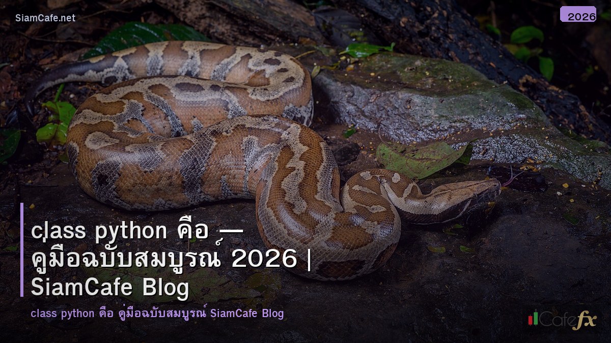 class python คอ
