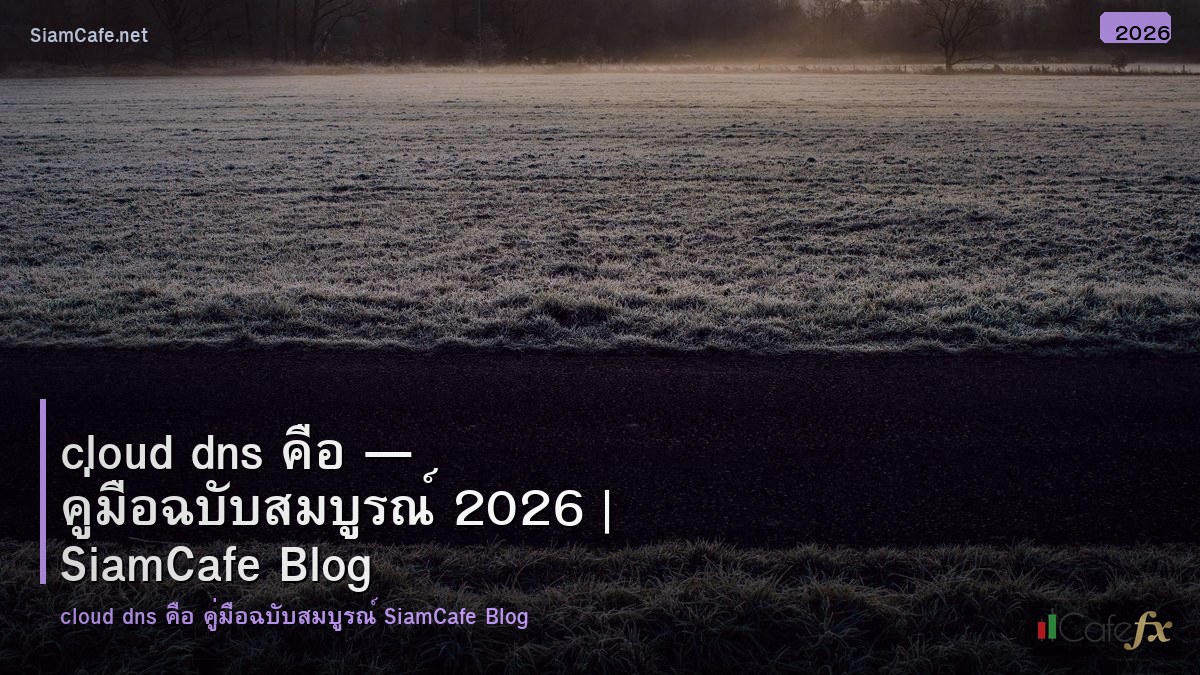 cloud dns คอ