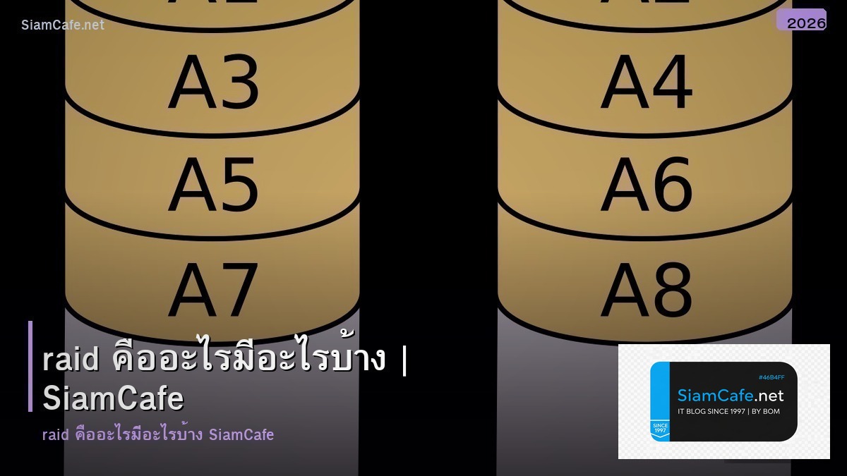 raid คอ อะไร ม อะไร บาง