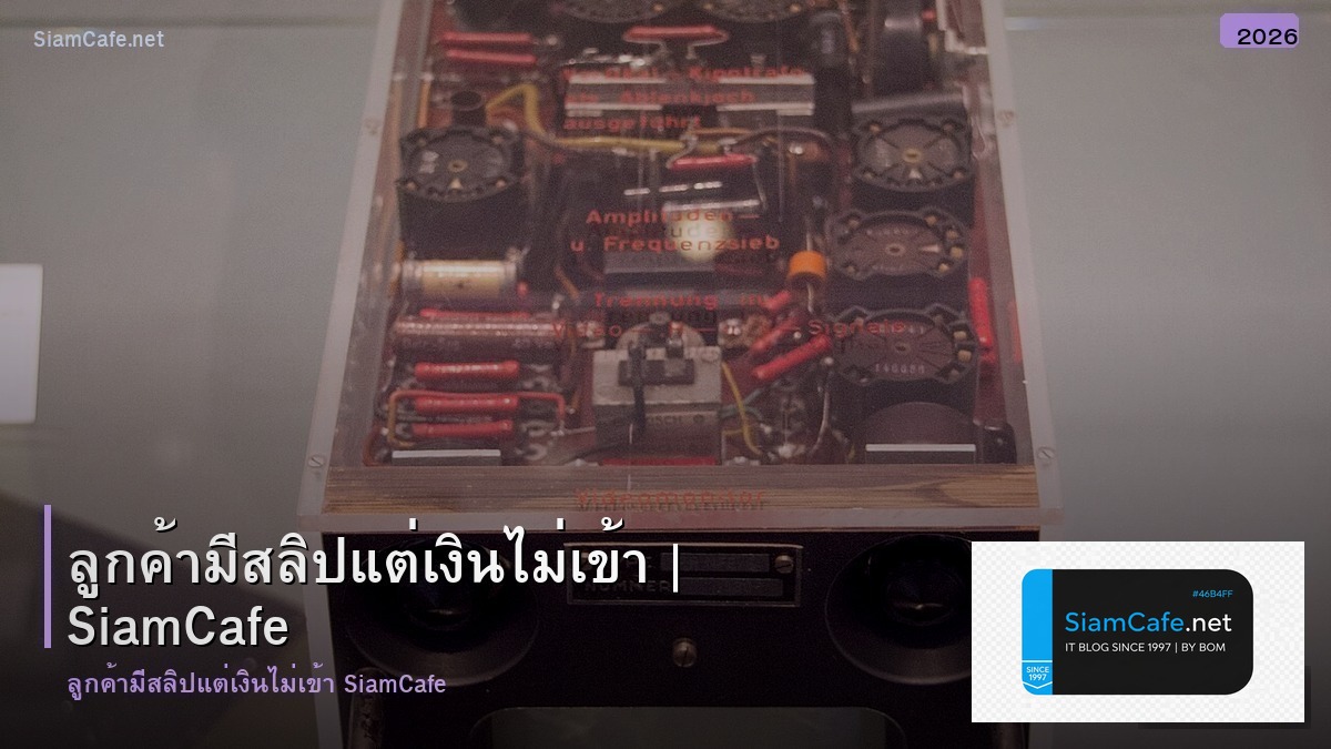 ลกคา มสลป แตเงนไมเขา