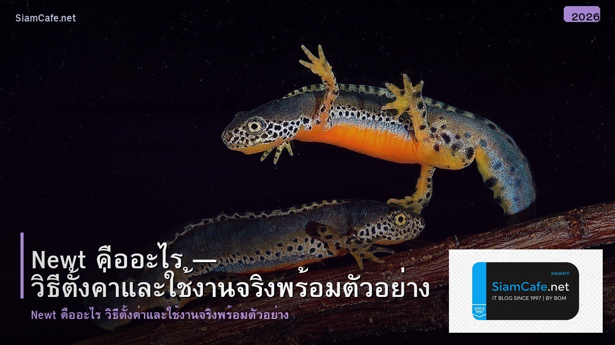 newt คอ