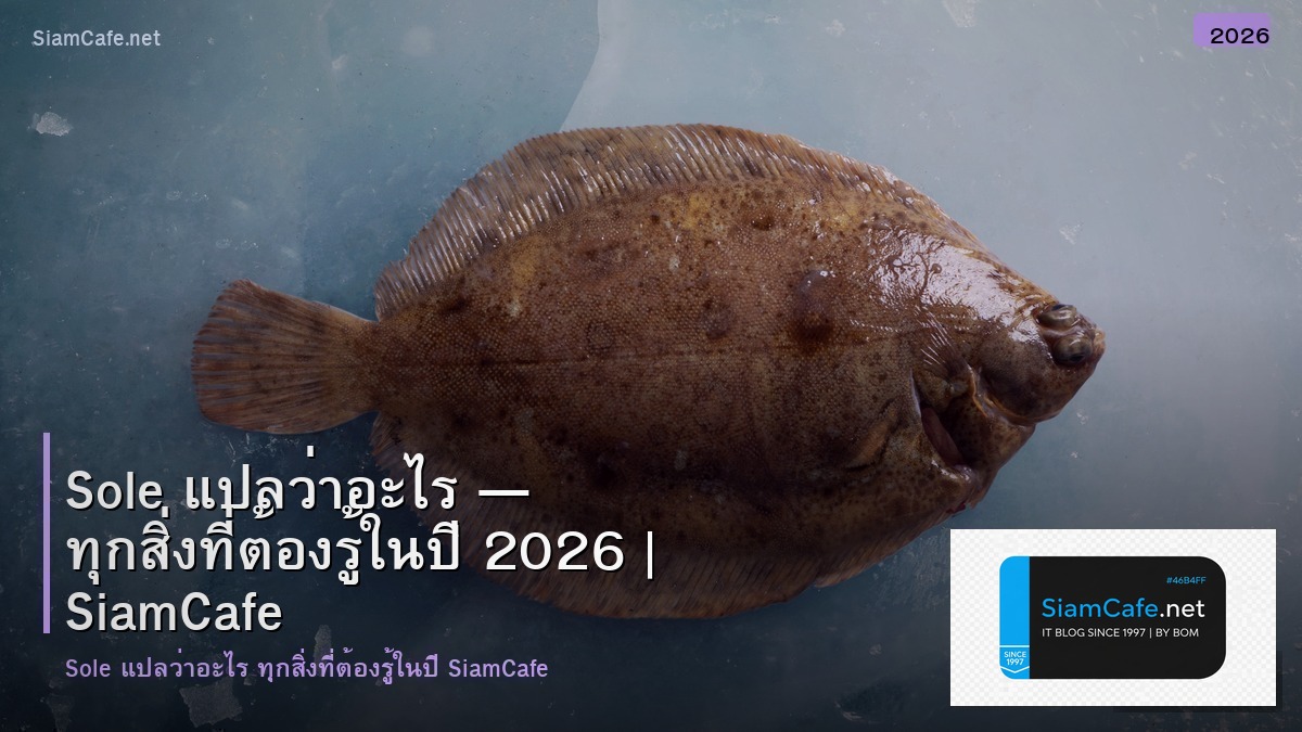 sole แปลวา