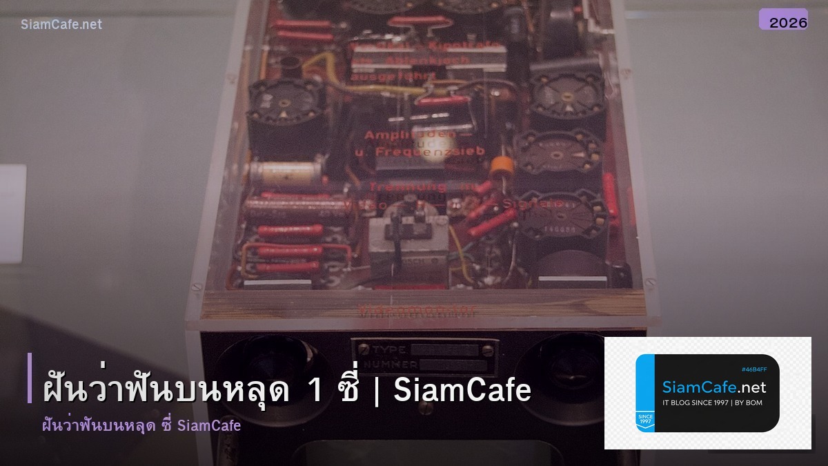 ฝนวาฟนบนหลด 1 ซ