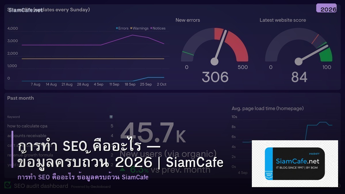 การทำ seo คอ