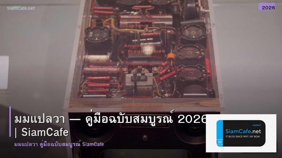 มมแปลวา