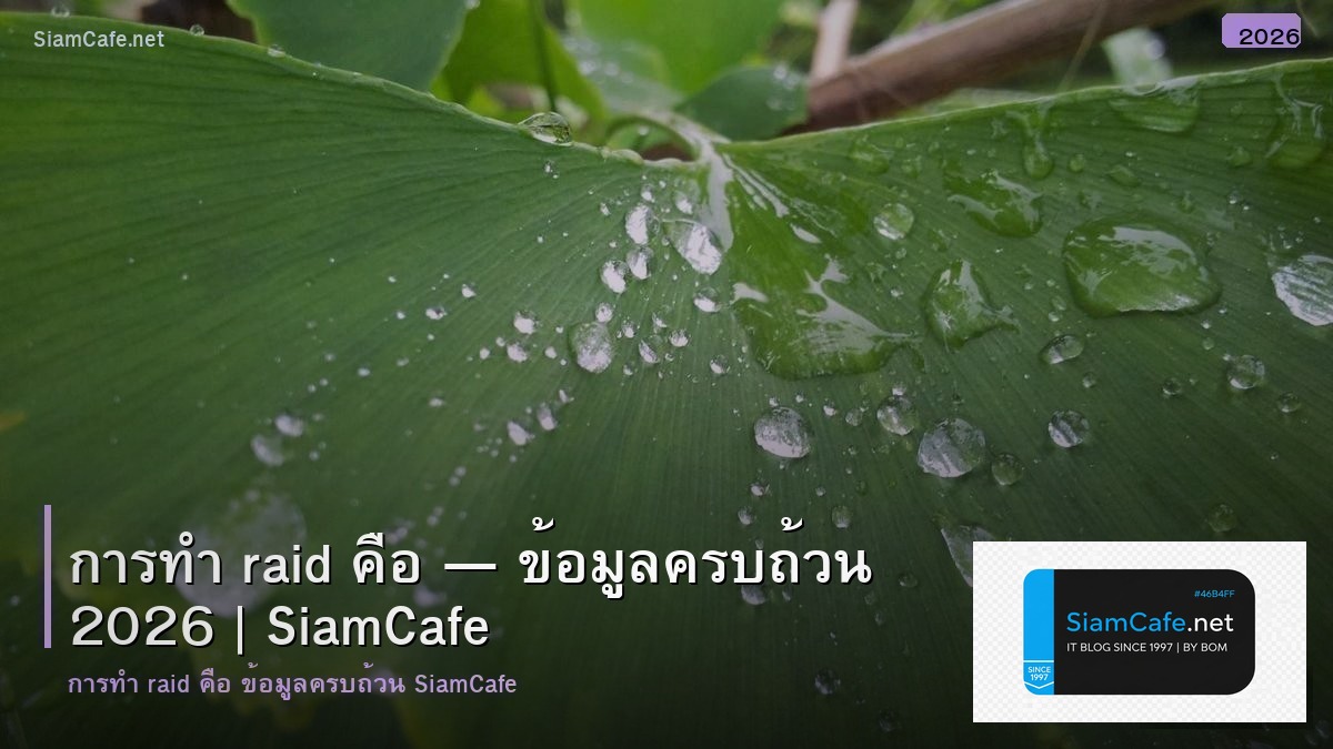 การ ทา raid คอ