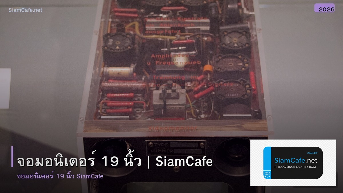 จอมอนเตอร 19 นว