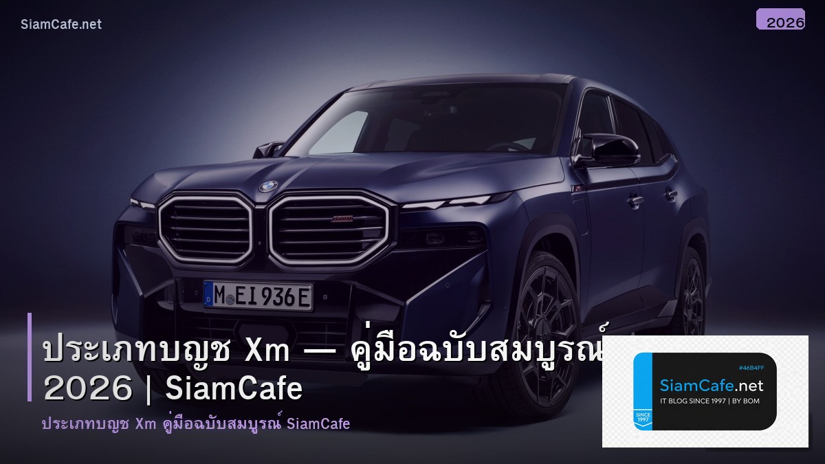 ประเภทบญช xm