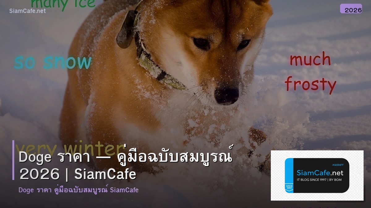doge ราคา