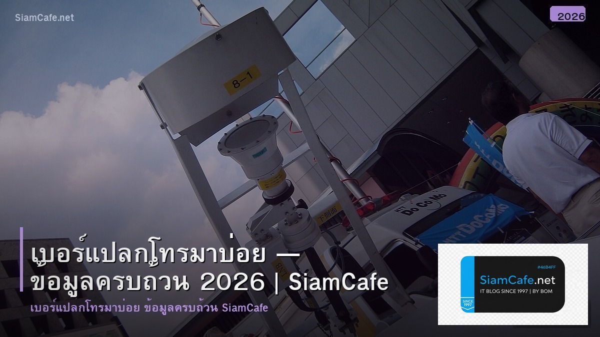 เบอรแปลกโทรมาบอย