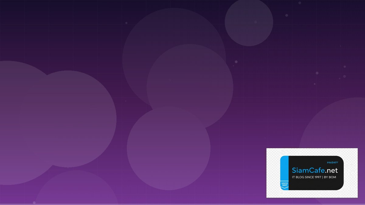 Apache Beam Pipeline DNS Management | SiamCafe Blog