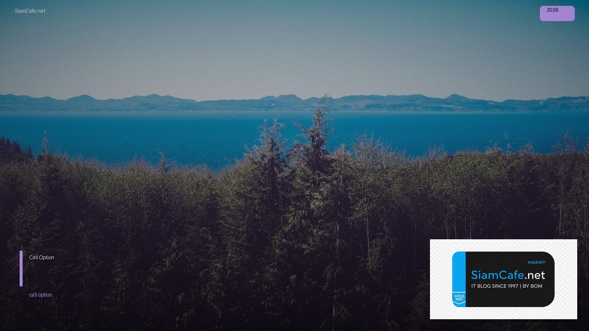 Call Option | SiamCafe Blog