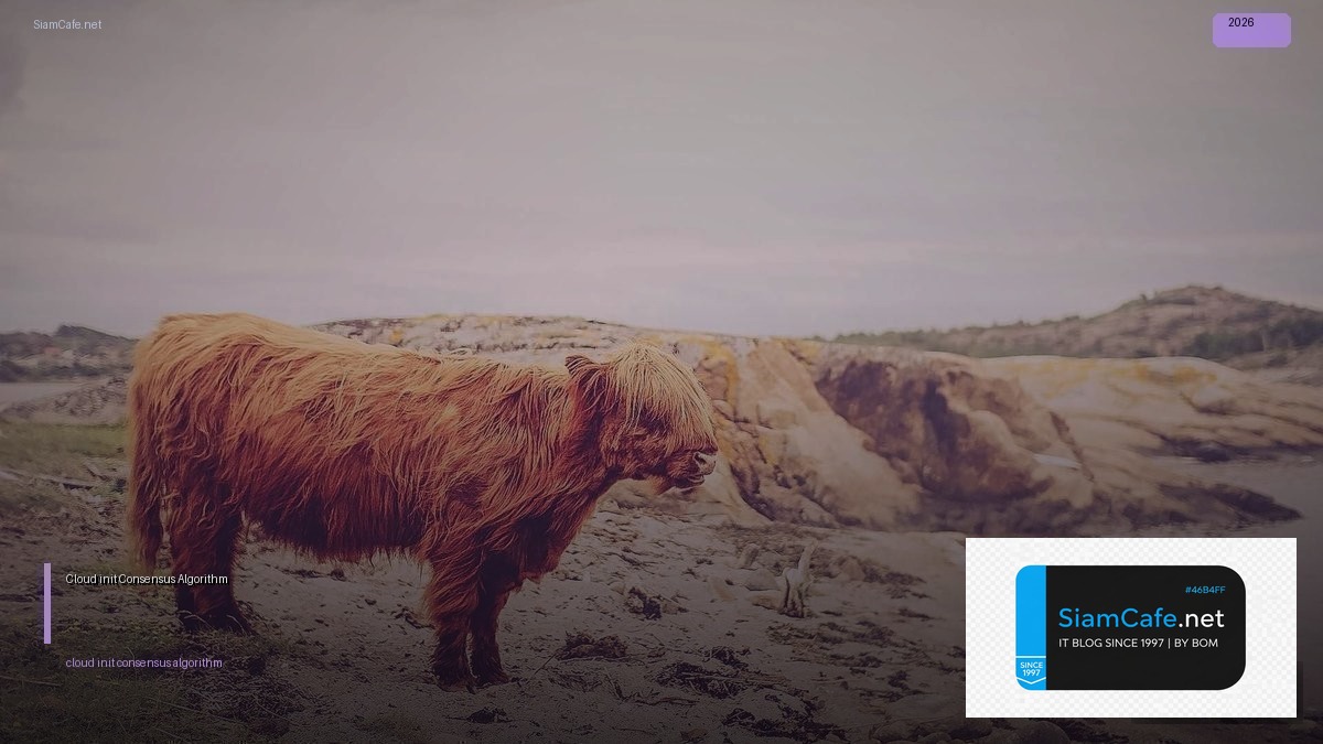 Cloud-init Consensus Algorithm | SiamCafe Blog