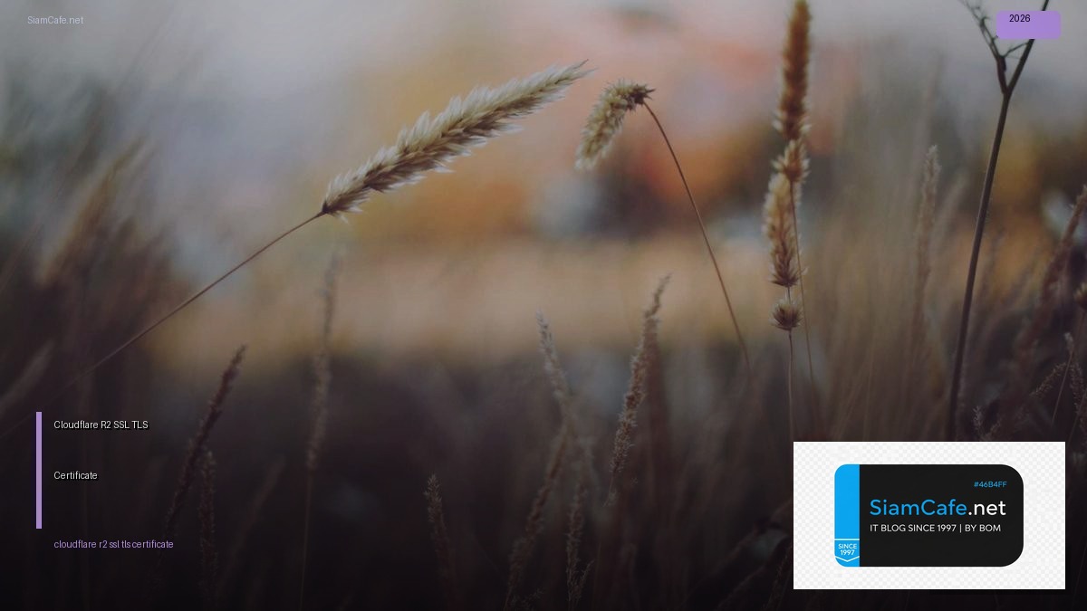 Cloudflare R2 SSL TLS Certificate | SiamCafe Blog