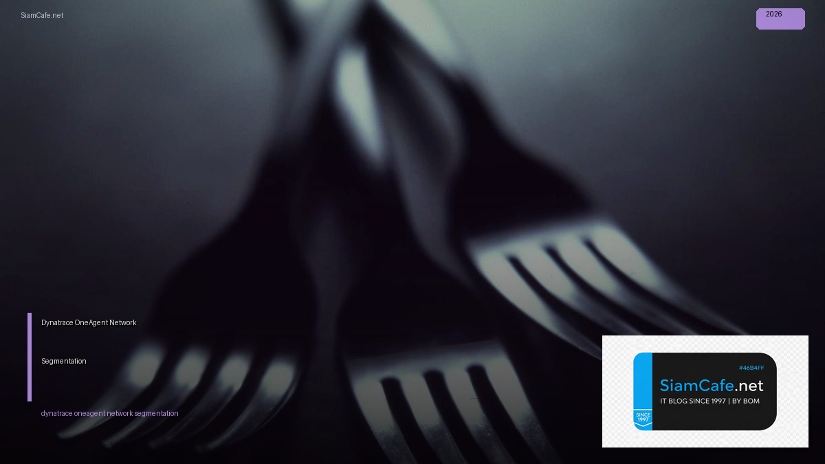Dynatrace OneAgent Network Segmentation | SiamCafe Blog