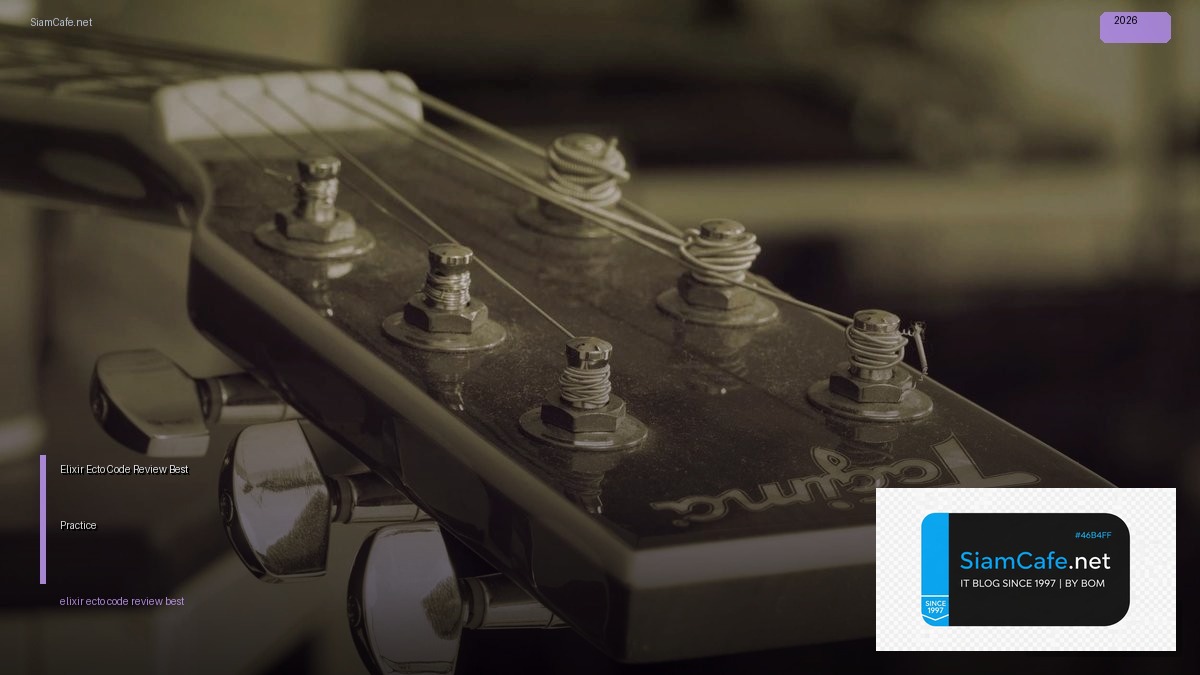 Elixir Ecto Code Review Best Practice | SiamCafe Blog