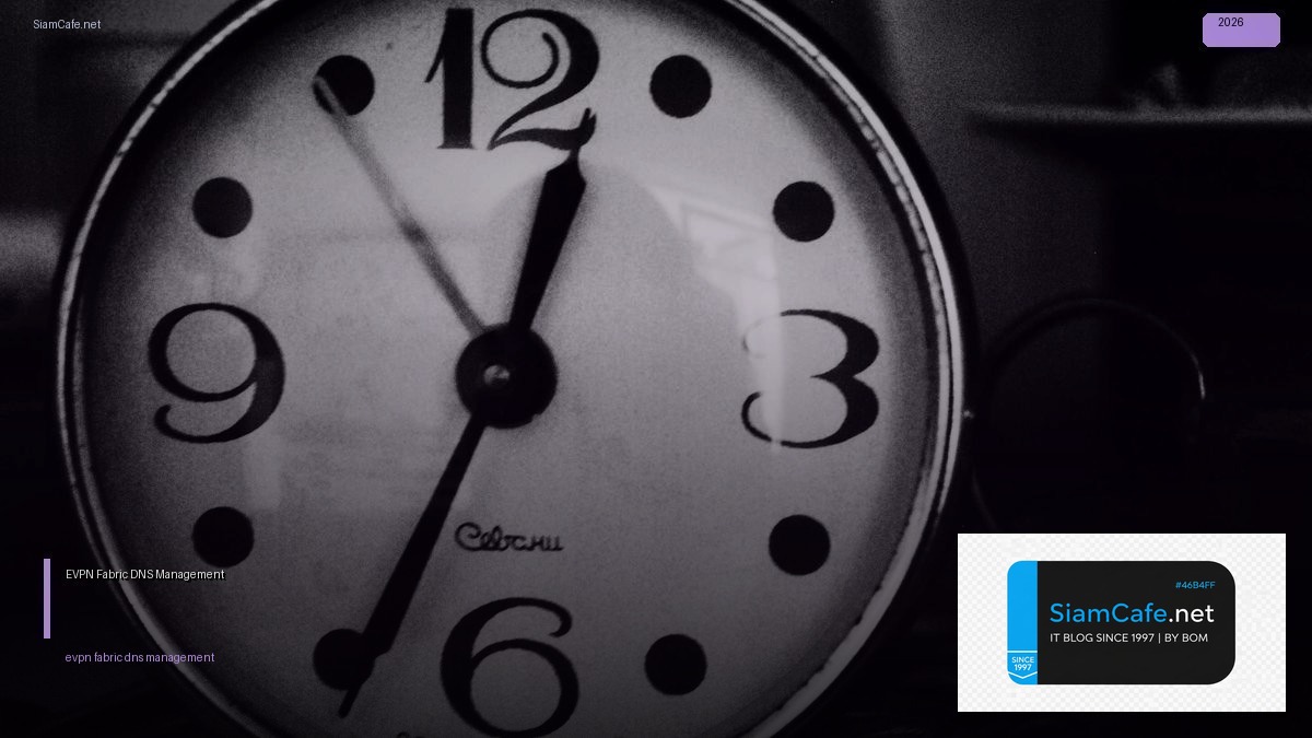 EVPN Fabric DNS Management | SiamCafe Blog