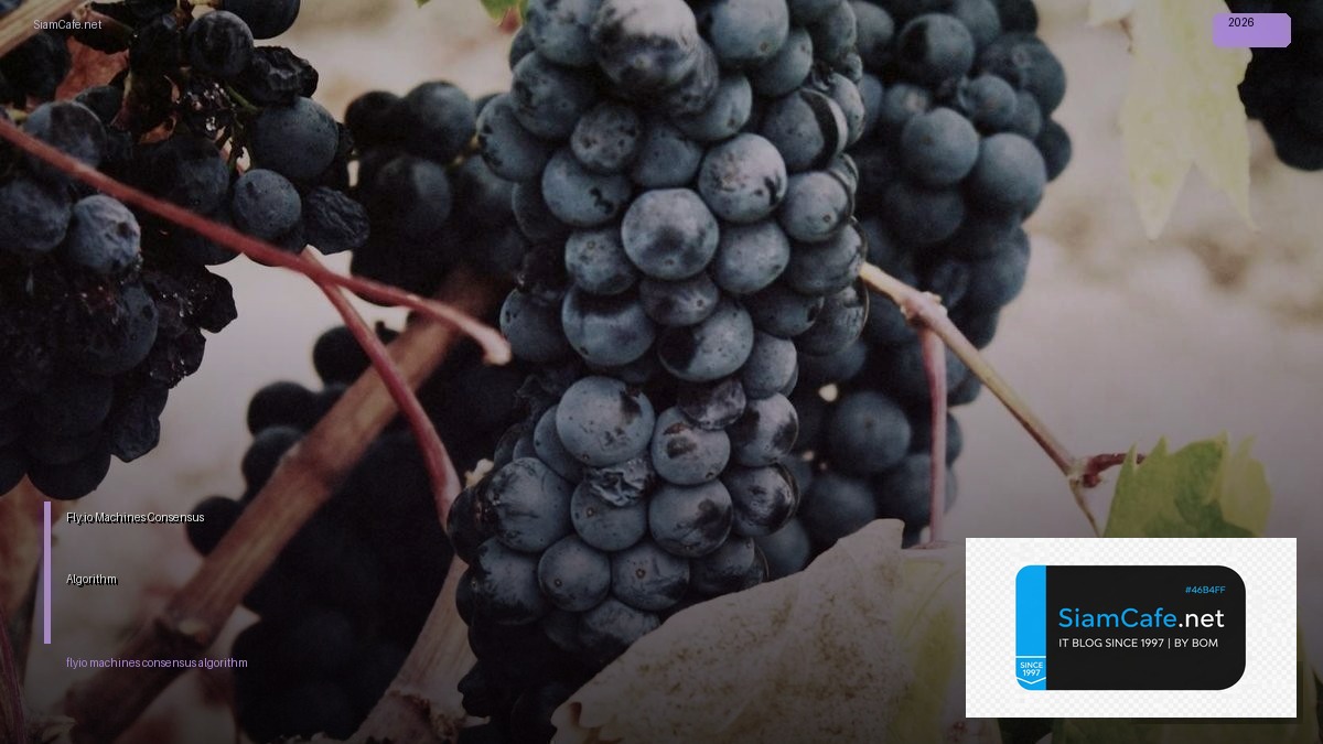 Fly.io Machines Consensus Algorithm | SiamCafe Blog