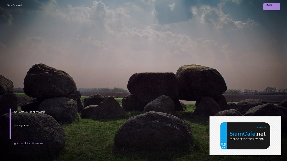 Go Cobra CLI Identity Access Management | SiamCafe Blog