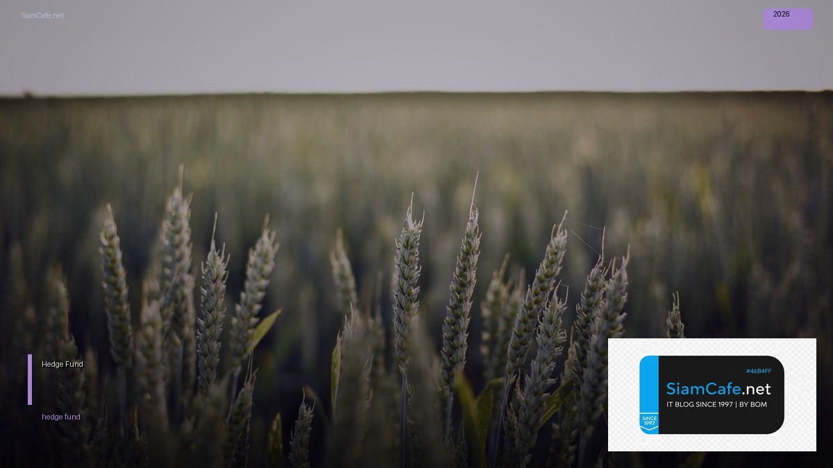 Hedge Fund | SiamCafe Blog