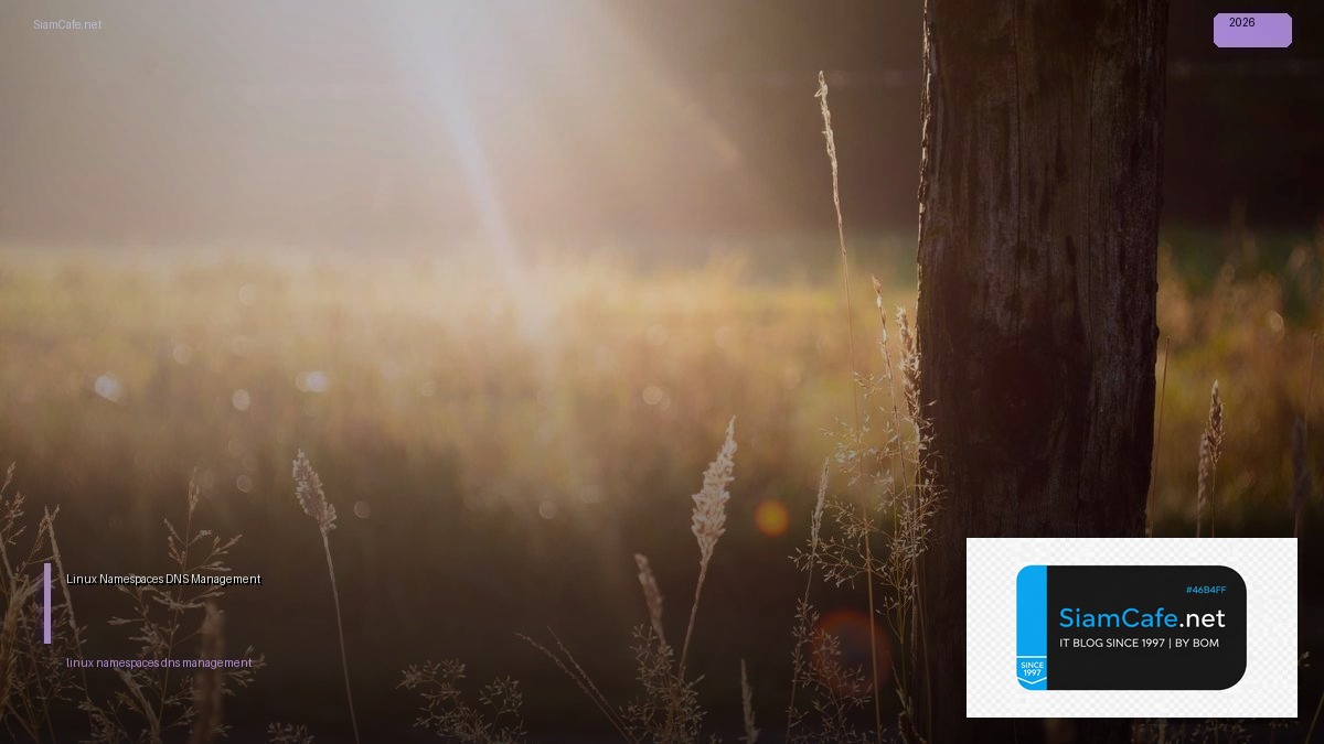 Linux Namespaces DNS Management | SiamCafe Blog