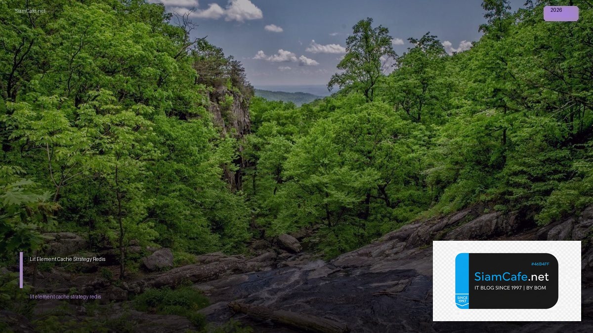Lit Element Cache Strategy Redis | SiamCafe Blog