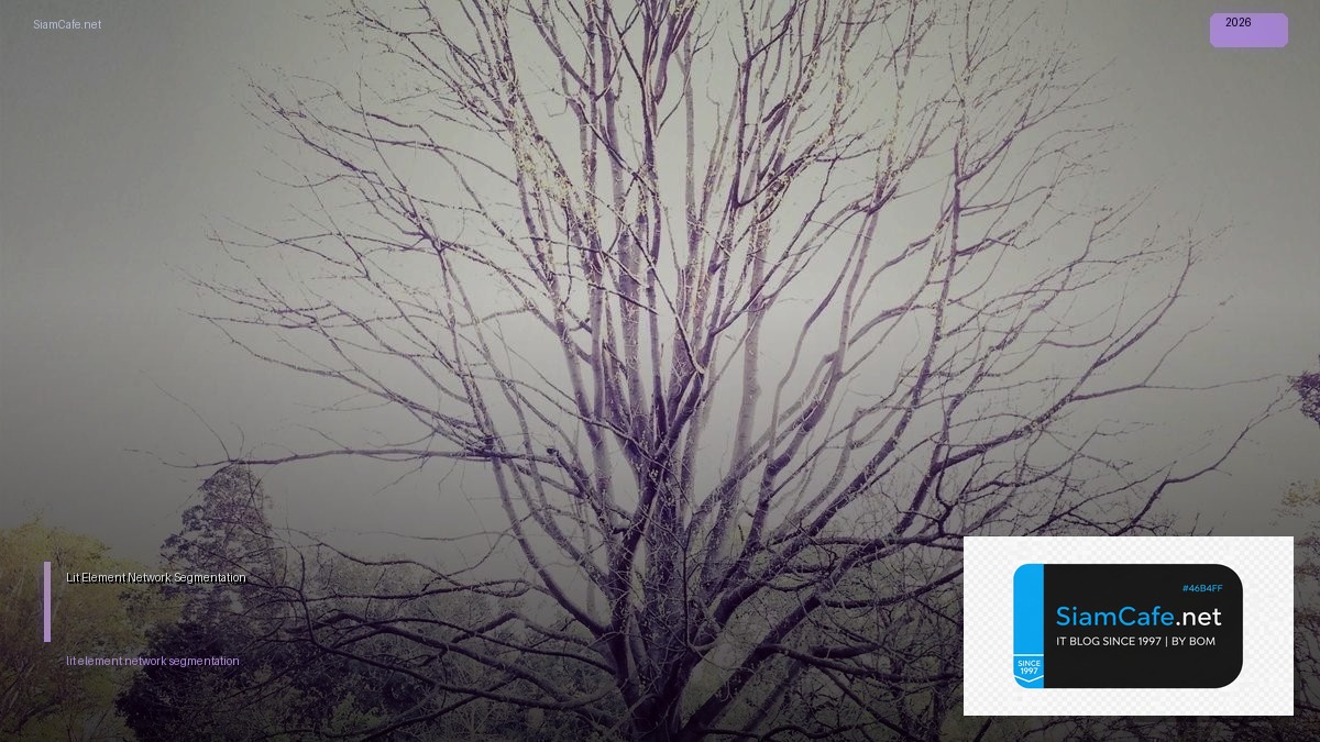 Lit Element Network Segmentation | SiamCafe Blog