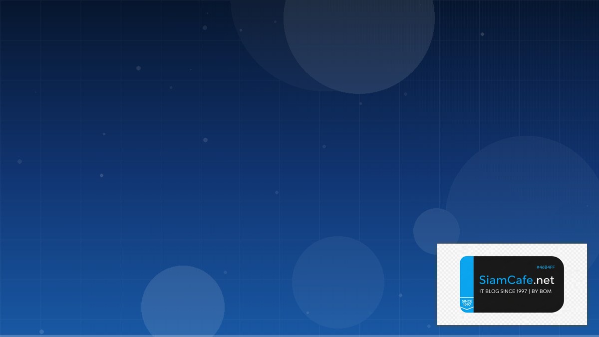 Siam Cat | SiamCafe Blog