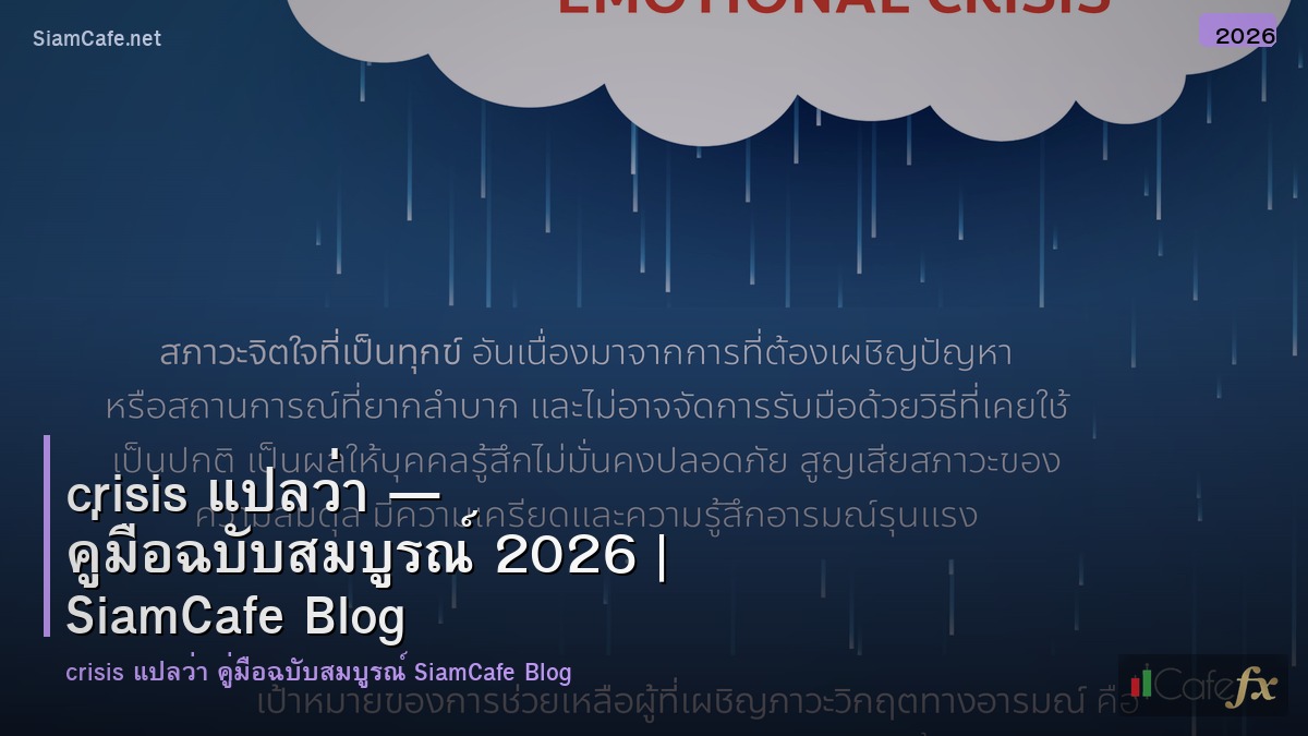 crisis แปลวา