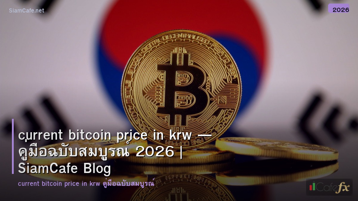 current bitcoin price in krw