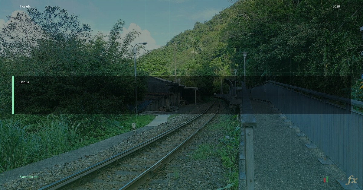 dahua