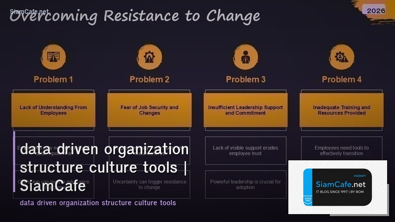 data driven organization structure culture tools