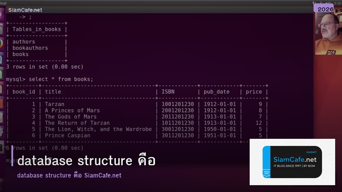 database structure คือ - ภาพประกอบบทความ